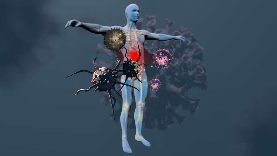 foto da not&iacute;cia