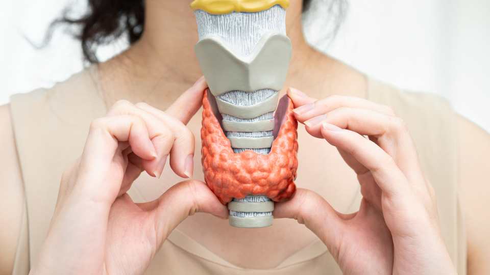 foto da not&iacute;cia